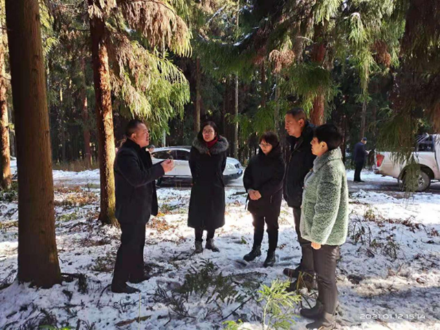 四川省林草局到叙永检查国家储备林建设工作情况(图1)