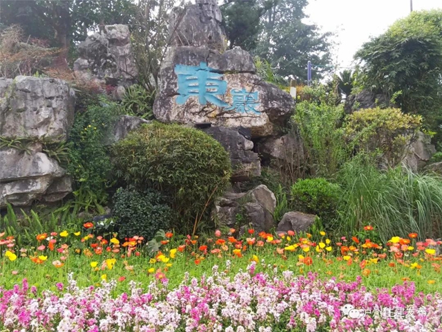 正在公示！泸州4个公园入围省重点公园拟命名名单(图3)