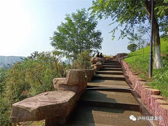 正在公示！泸州4个公园入围省重点公园拟命名名单(图4)