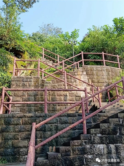 正在公示！泸州4个公园入围省重点公园拟命名名单(图5)