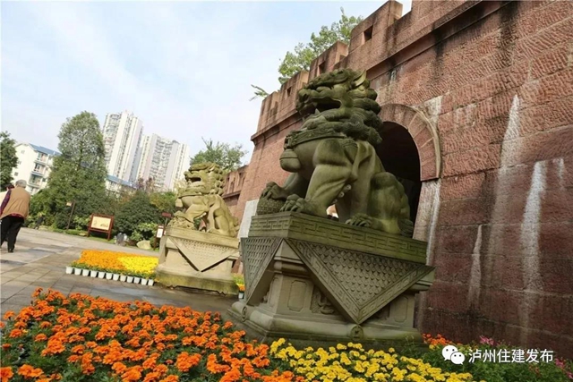 正在公示！泸州4个公园入围省重点公园拟命名名单(图6)