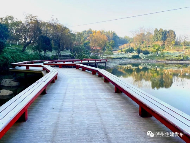 正在公示！泸州4个公园入围省重点公园拟命名名单(图12)