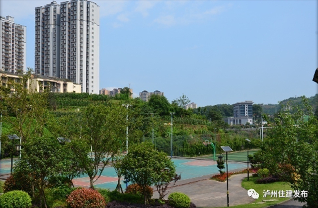 正在公示！泸州4个公园入围省重点公园拟命名名单(图15)