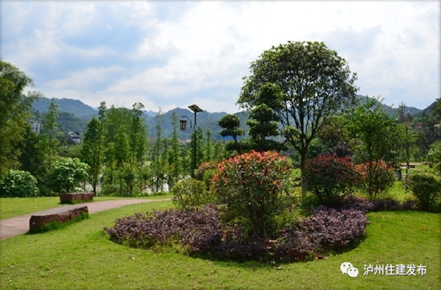 正在公示！泸州4个公园入围省重点公园拟命名名单(图14)