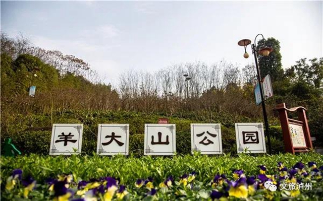 泸州城区腊梅地图请收好！花都开好了，只等你！(图7)