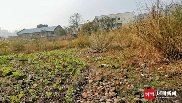 云投诉 | 四川泸州5万居民“心头病”：公立学校规划七年未开工(图2)