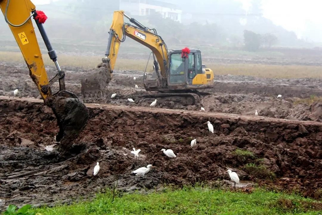 江阳区高标准农田建设加快推进 预计3月底全面完工(图1)