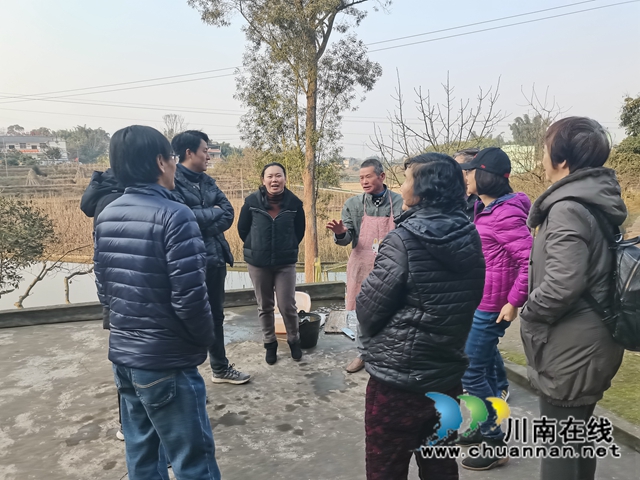 九三学社龙马潭区支社：借助专家力量，提升高粱品质(图1)