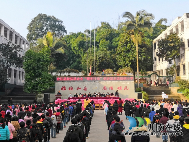 合江县暖冬行动走进望龙镇梧桐小学(图1)