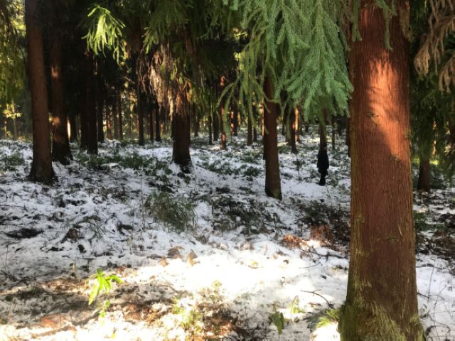 泸州市超额完成生态保护修复目标任务(图4)