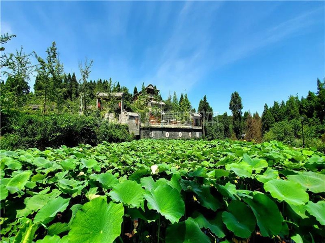 谁说90后不行?这个内江妹子“打造”了一个国家AAA级景区!(图4) 谁说90后不行?这个内江妹子“打造”了一个国家AAA级景区!(图4)