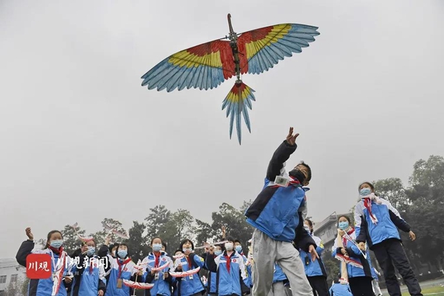 严禁与招生入学考试挂钩！四川出手规范寒假校外培训(图1)