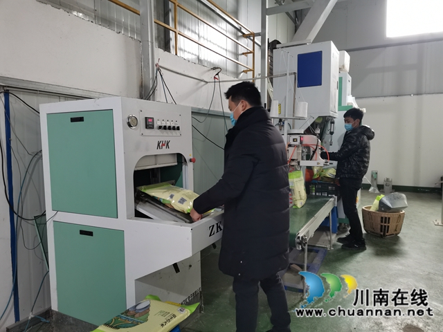 省劳动模范薛世兰：多产融合、稻菜轮作实现粮增产钱增收(图2)