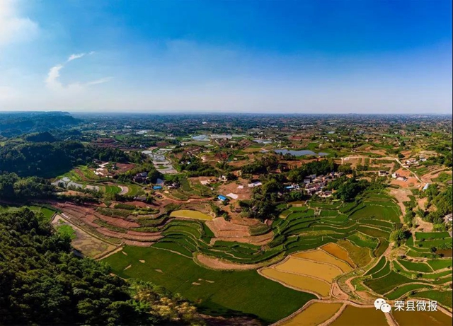 “蔬菜精神”——自贡这个村靠它实现脱贫致富！