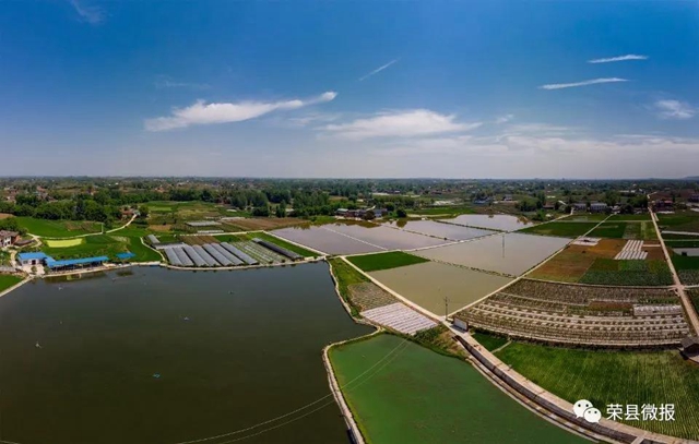 “蔬菜精神”——自贡这个村靠它实现脱贫致富!(图4) “蔬菜精神”——自贡这个村靠它实现脱贫致富!(图4)