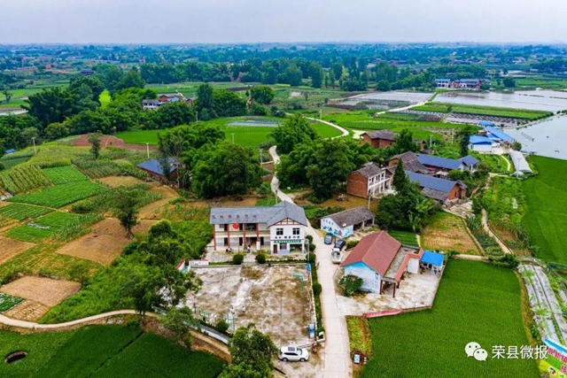 “蔬菜精神”——自贡这个村靠它实现脱贫致富!(图5) “蔬菜精神”——自贡这个村靠它实现脱贫致富!(图5)