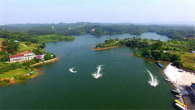 纳溪组建150余支森林防灭火队伍,守护绿色家园!(图1) 纳溪组建150余支森林防灭火队伍,守护绿色家园!(图1)