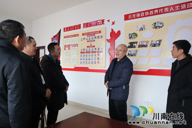 张文杰到泸县云龙镇调研“有事来协商”工作(图3)