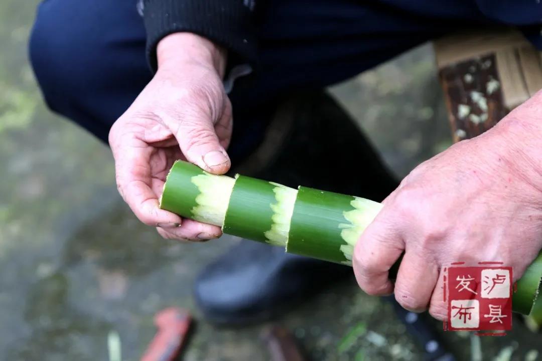 泸州有种土乐器名叫“花号”，不知您见过没？(图10)