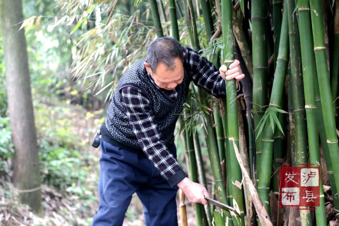 泸州有种土乐器名叫“花号”，不知您见过没？(图5)
