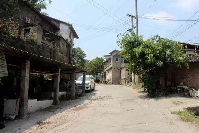 离城几分钟！宜宾这个小镇规划通过审定！将建儿童游乐园、新公园、美食街……(图12)