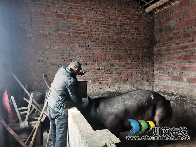 罗旭：以臂做手，发展养殖，成为全省脱贫励志榜样(图4)