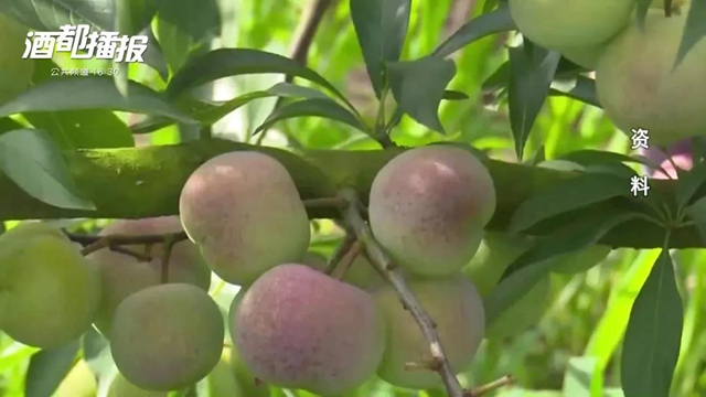 逆势增长！2020年宜宾实现电商交易额397.02亿元 ！(图2)