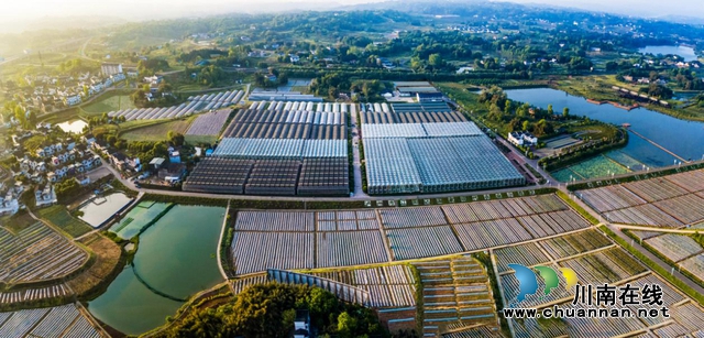 江阳区获评四川省全域旅游示范区(图5)