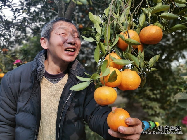 泸县毗卢镇脱贫榜样唐登元：坐在轮椅上品尝脱贫的喜悦(图3)