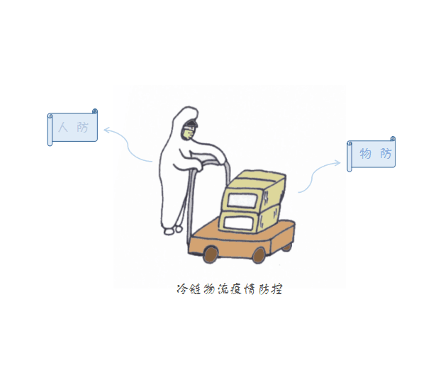 冷链物流疫情防控知多少？泸州手绘达人用画笔告诉您！(图2)