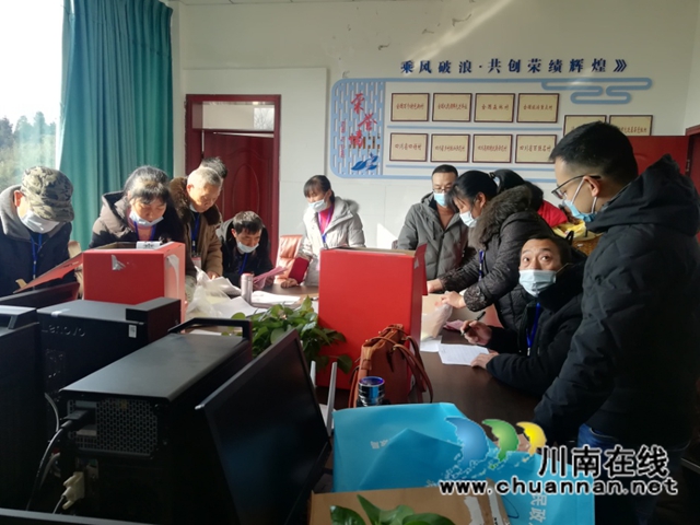 纳溪区自然资源和规划分局全力做好网格化联系村村民委员会换届选举工作(图4)