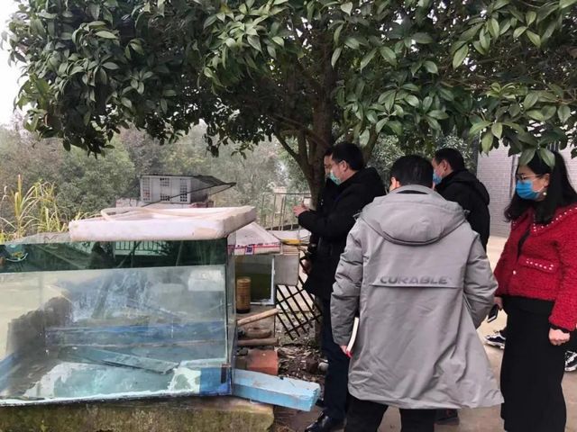 网店销售野生鱼？泸州市监立即行动！(图2)