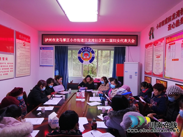 多措并举，有序推进，龙马潭区小市街道圆满完成社区妇联换届选举工作(图1)