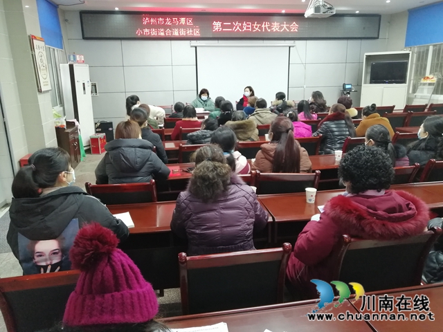 多措并举，有序推进，龙马潭区小市街道圆满完成社区妇联换届选举工作(图2)