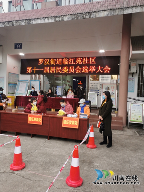 龙马潭区罗汉街道：人大代表监督村（社区）居委会换届选举工作(图2)