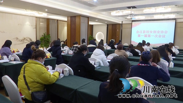 合江县妇女创业协会成立(图2)