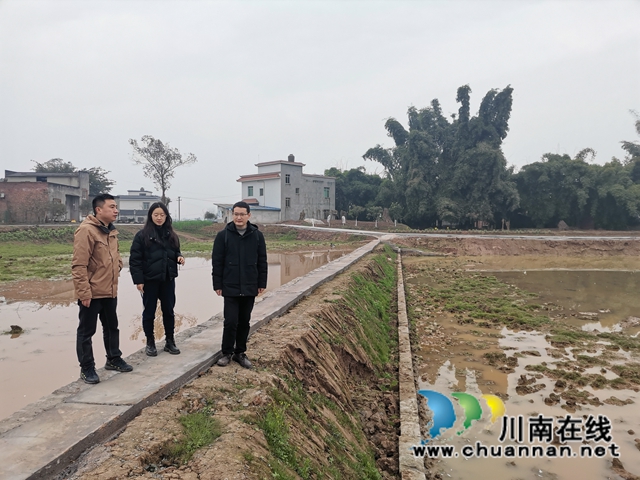 立春到农事忙  泸县春耕备耕正当时(图7)