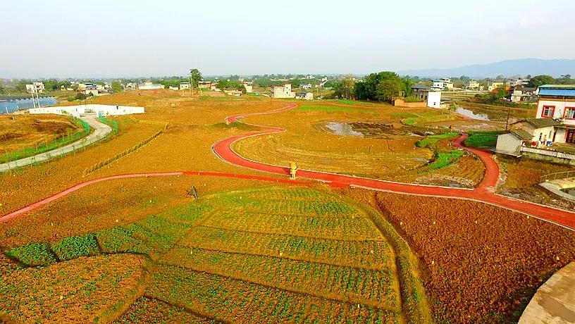 泸县高粱+油菜现代农业园区拟认定为省三星级园区(图1)