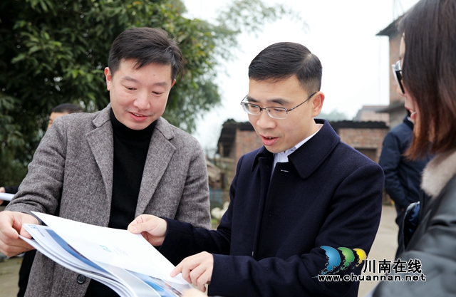 王波调研合江县乡村振兴工作：强化项目引领，高水平建设现代农业园区(图2)