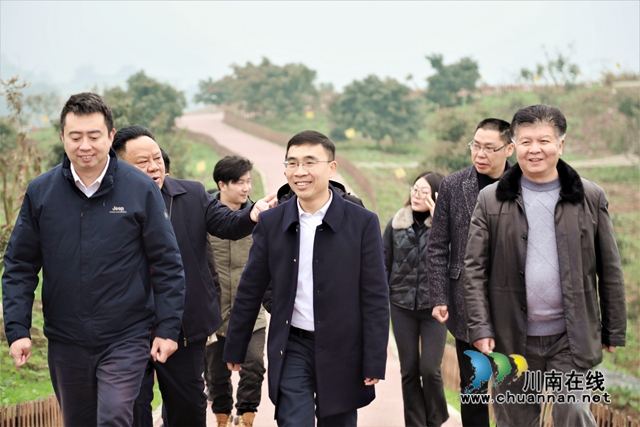 王波调研合江县乡村振兴工作：强化项目引领，高水平建设现代农业园区(图1)