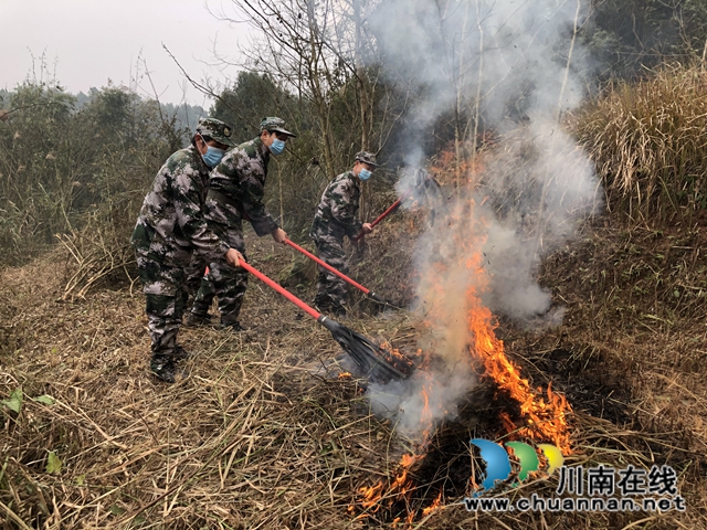 泸县百和镇开展2021年森林防灭火应急演练(图1)