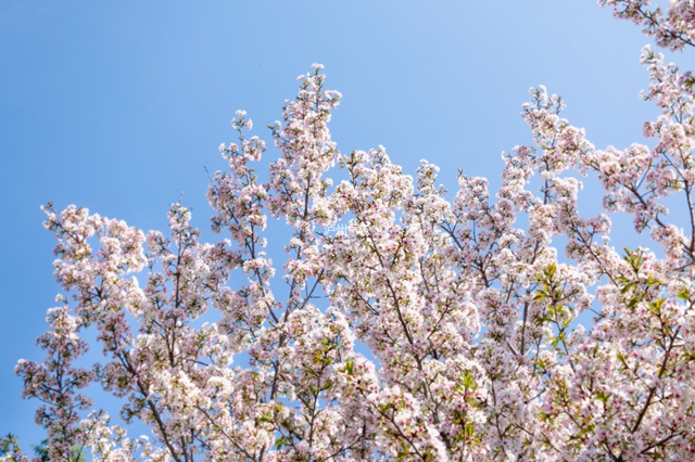 全国大部地区“立春暖”，但酒城...(图1)