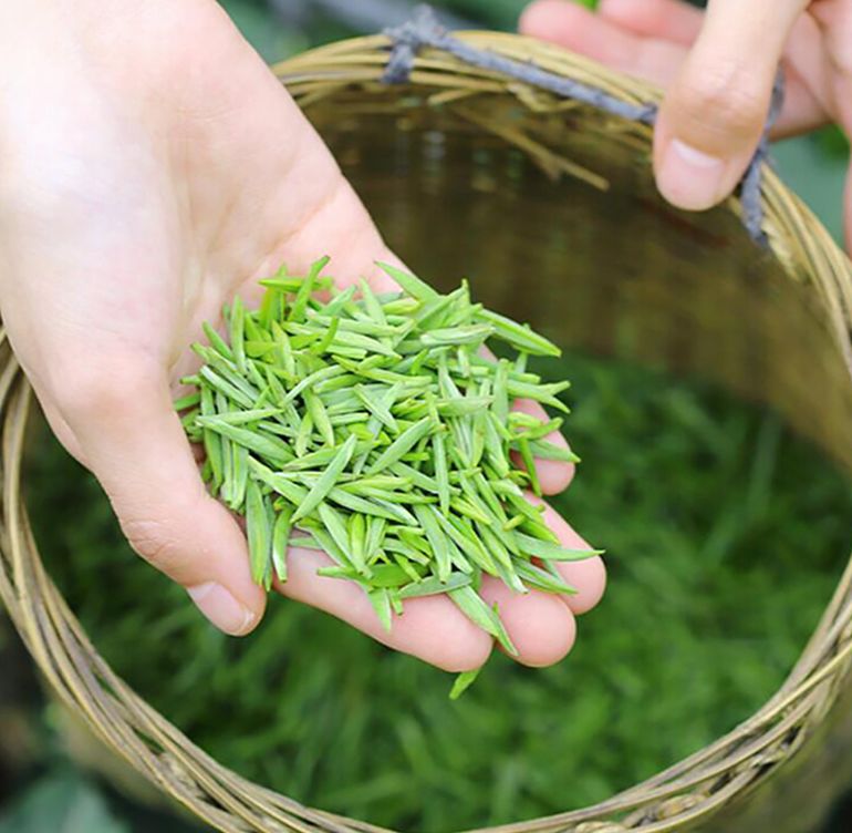 宜宾早茶节(图8)