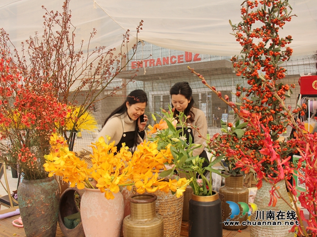 龙马潭：“年宵花”扮靓家，热闹喜庆迎新年(图1)