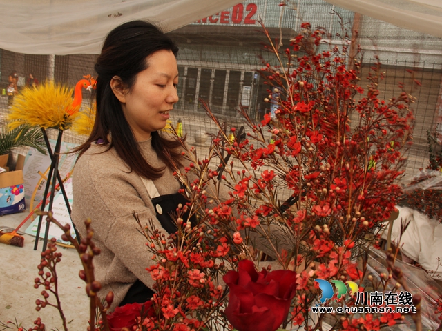 龙马潭：“年宵花”扮靓家，热闹喜庆迎新年(图3)