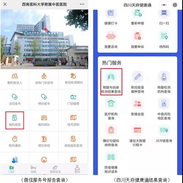 【通知】核酸检测陪护免费！免收挂号费及诊查费！(图12)