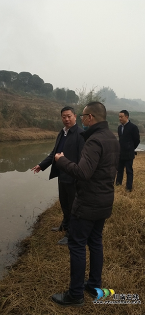 杨双全率队督导泸县小鹿溪河河长制工作(图1)