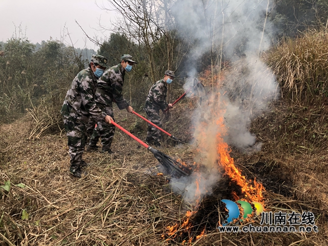 泸县百和镇：真抓实干，筑牢森林防火墙(图1)
