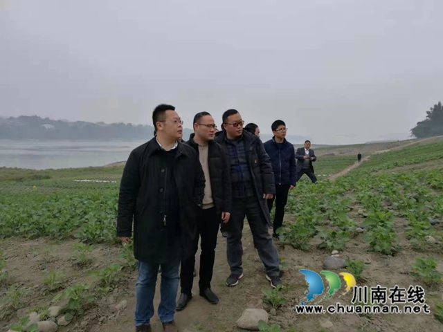 纳溪区长江经济带10公里范围内废弃露天矿山生态修复工程通过终验(图2) 纳溪区长江经济带10公里范围内废弃露天矿山生态修复工程通过终验(图2)