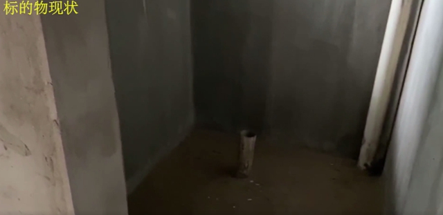 龙马战狼｜正月初五，来买买买(图7)